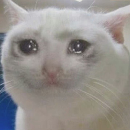 cry-cat.png